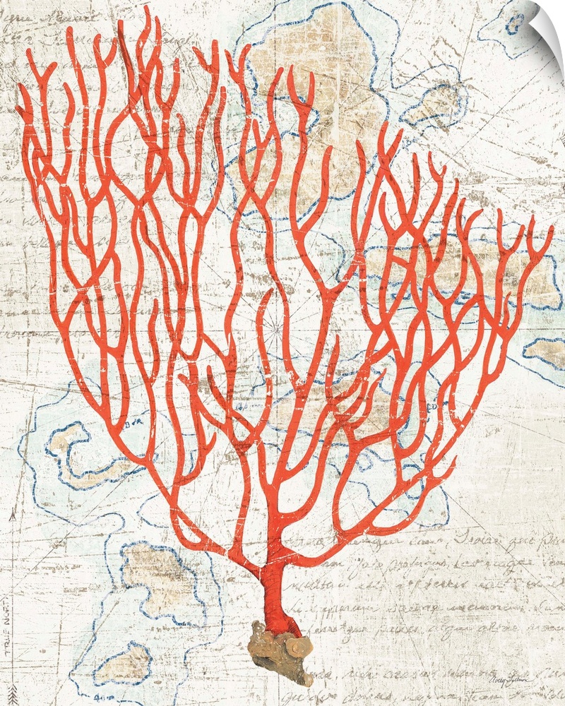 Vintage stylized illustration of red coral against a vintage map background.