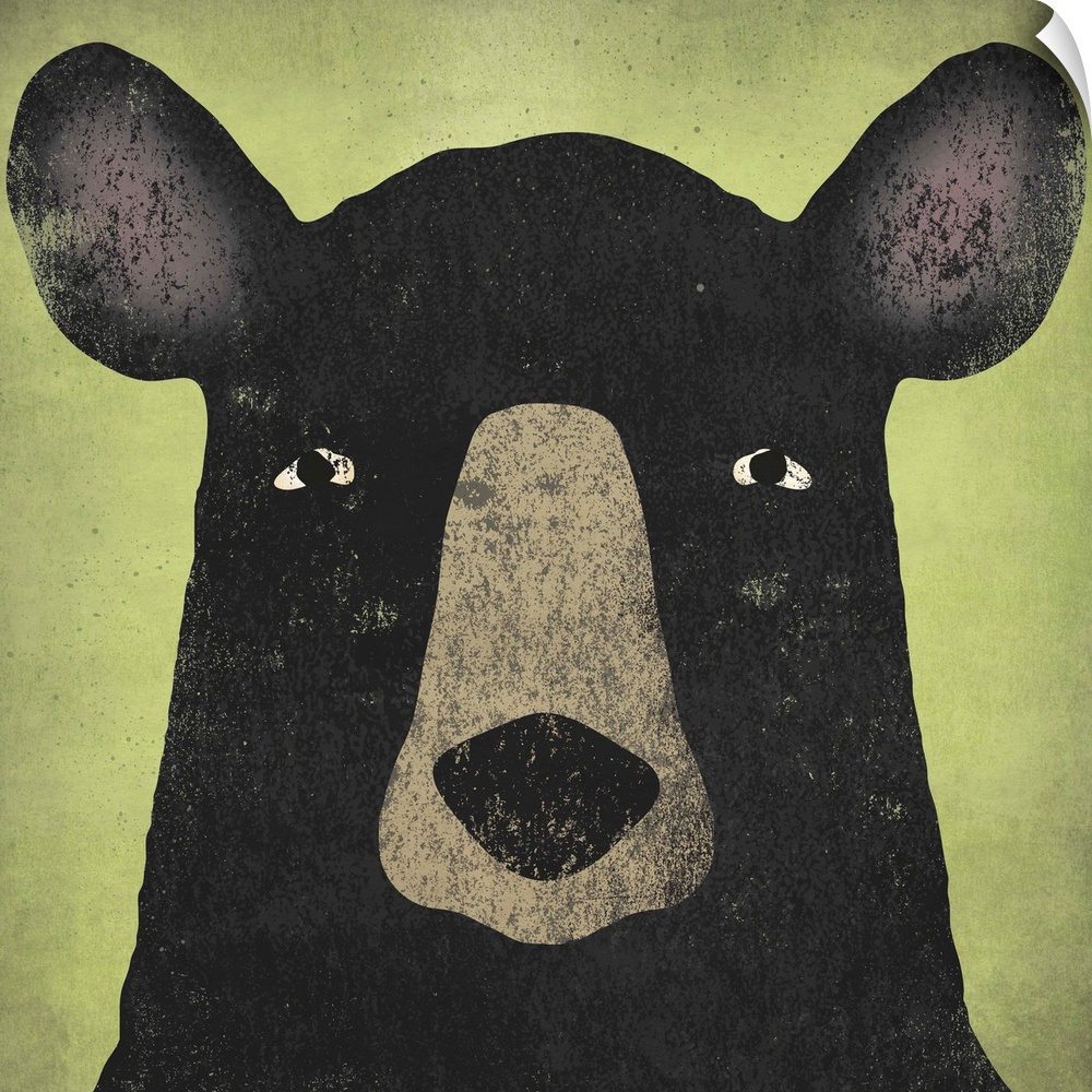 Portrait of a black bear with big ears and an intense stare.
