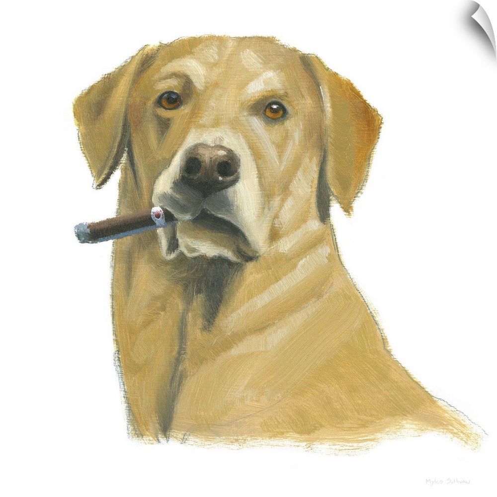 Square painting of a yellow lab smoking a cigar on a solid white background.