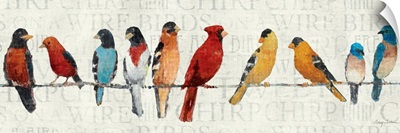 The Usual Suspects - Birds on a Wire