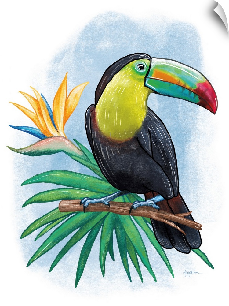 Vertical illustration of a colorful toucan  perched on a branch with a blue background.