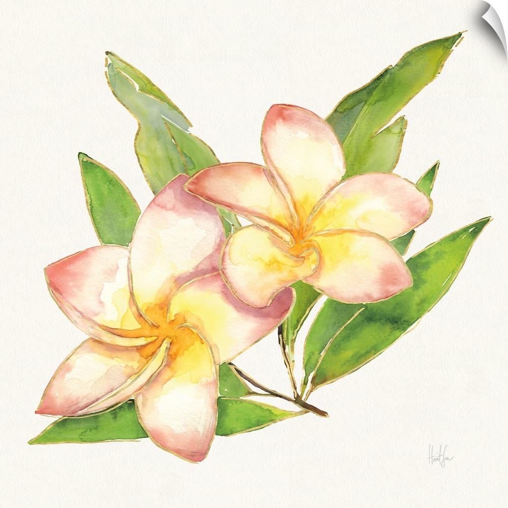 Watercolor painting of two pink plumerias with metallic gold trim.