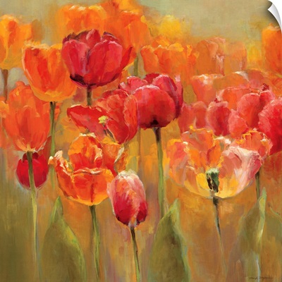 Tulips in the Midst III