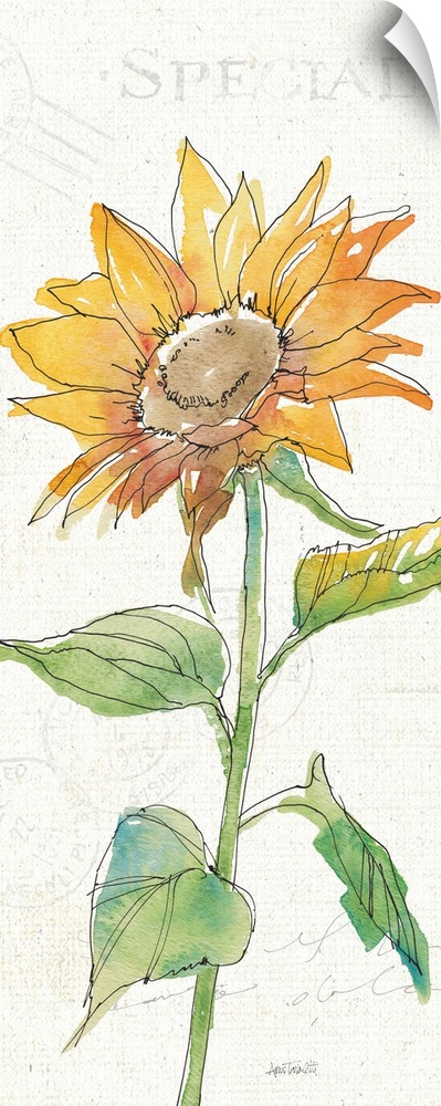 Tall watercolor painting of a single sunflower on a white background with faint text.