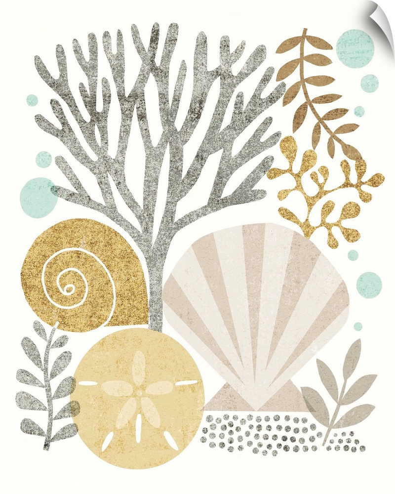 Beach themed illustration with seashells, coral, a sand dollar, and various saltwater plants.