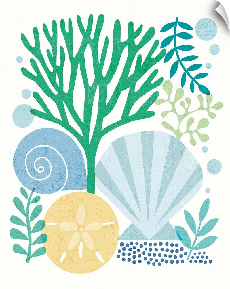 Beach themed illustration with seashells, coral, a sand dollar, and various saltwater plants.