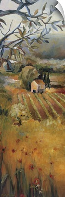 Vineyard in the Valley I