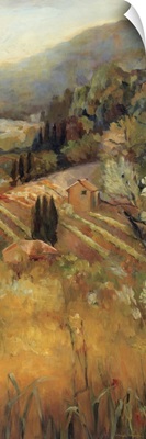 Vineyard in the Valley II