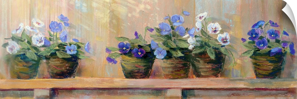 Panoramic floral art shows six potted flowers of varying color as they sit quietly on a shelf.