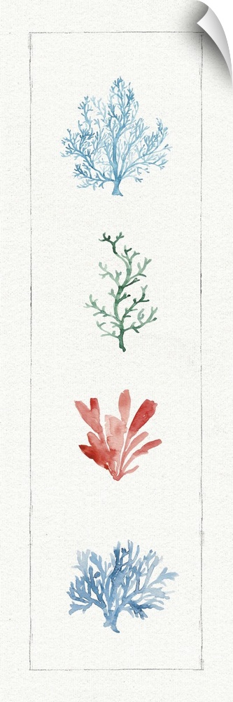 Tall, rectangular watercolor painting of coral.