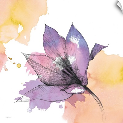 Watercolor Graphite Flower IX