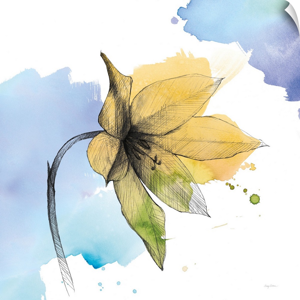 A square watercolor painting of a yellow lily with black sketched lines.