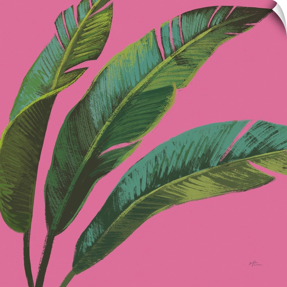 Illustration of palm leaves in shades of green with blue highlights on a bright pink, square background.