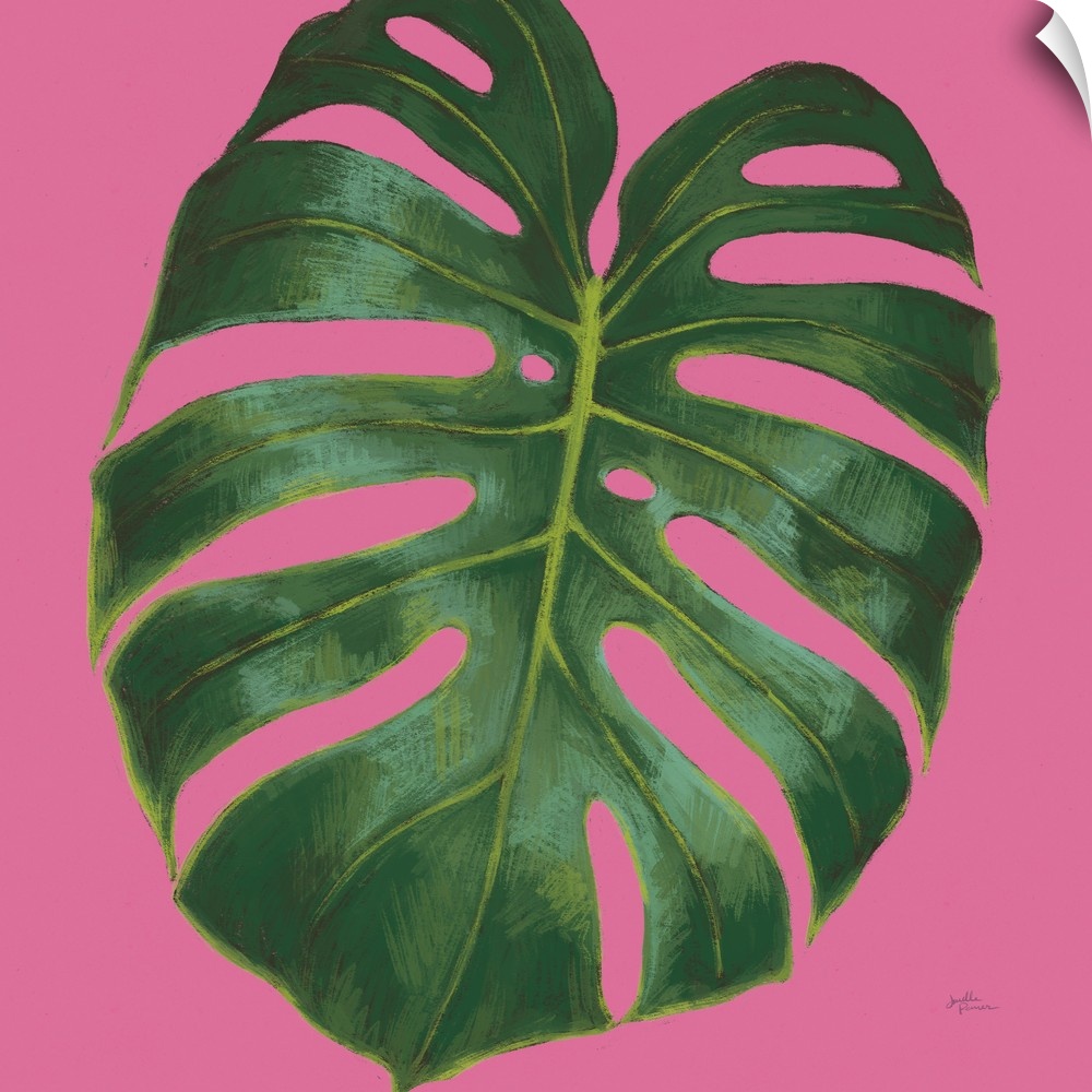 Illustration of a palm leaf in shades of green with blue highlights on a bright pink, square background.