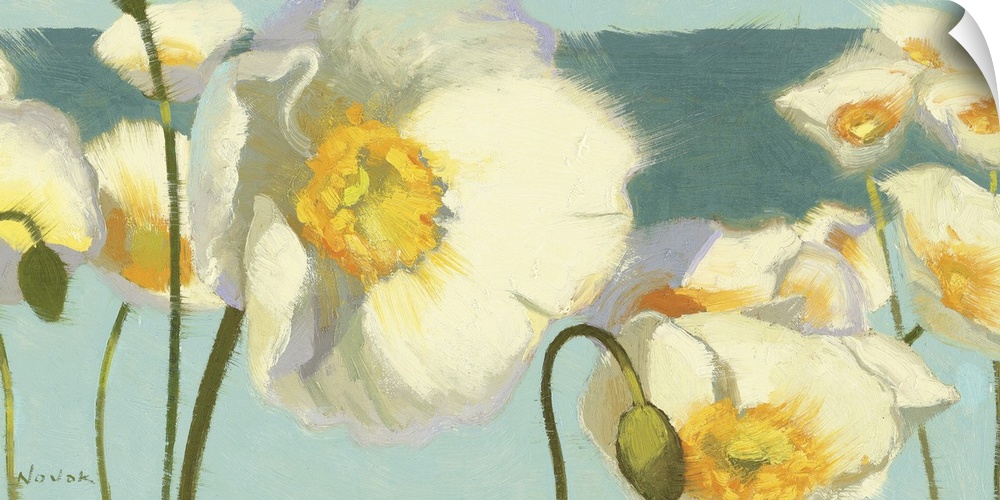 Horizontal, contemporary painting of large white Iceland flowers with golden centers, extending upward. The background is ...