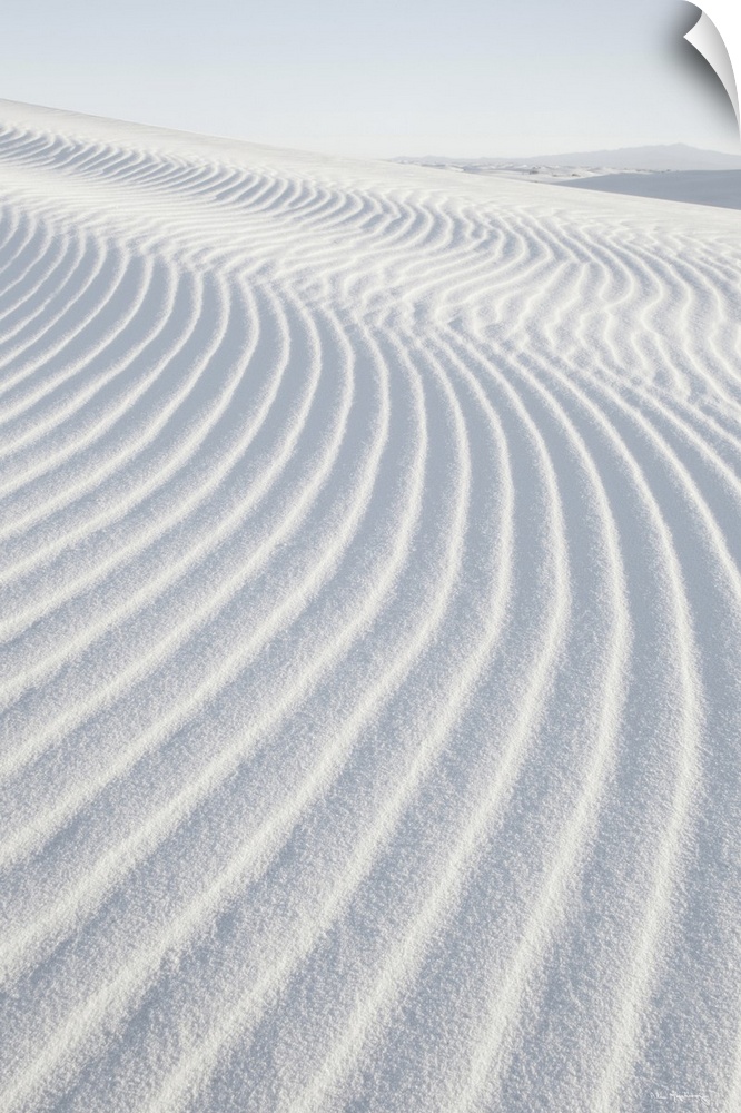 A vertical photograph of ripples in the sand dunes created by the wind.