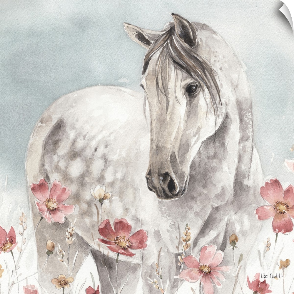 Contemporary watercolor artwork of a white horse in a field of wildflowers.