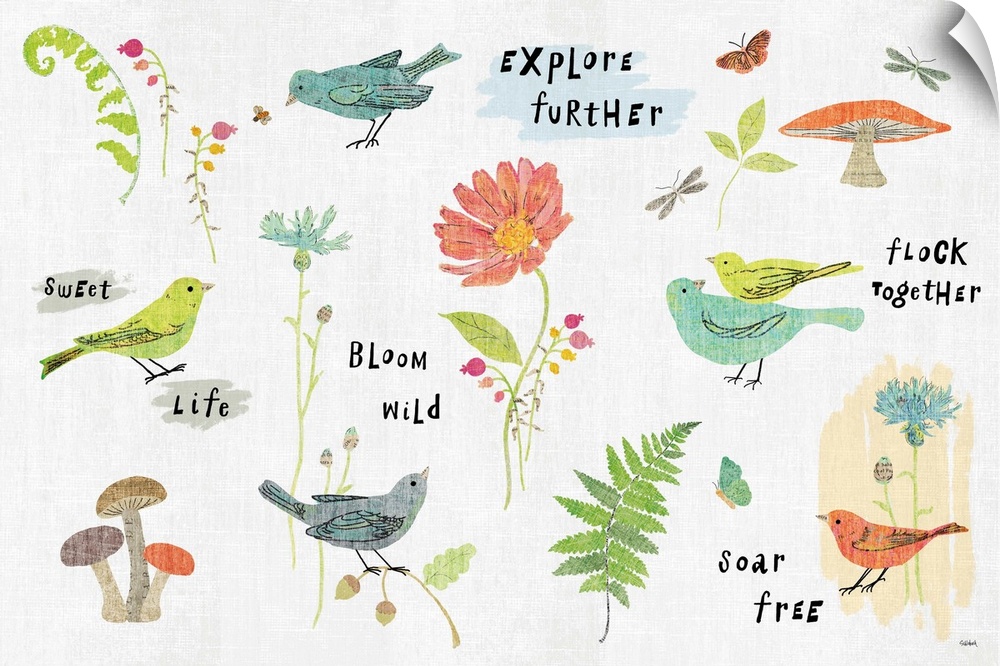 Digital illustration of birds and flowers with text of "Explore Further", "Flock Together", Sweet Life", Bloom Wild, and "...