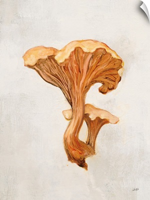 Woodland Mushroom IV
