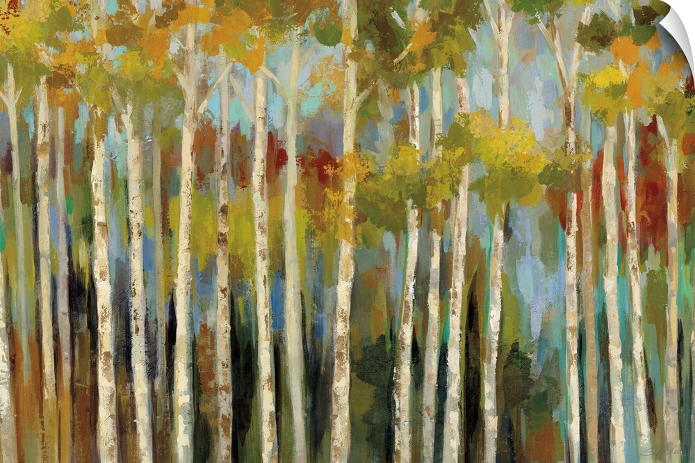 Contemporary artwork of a forest of thin birch trees in fall colors.