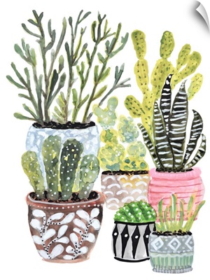 A Cactus Garden I