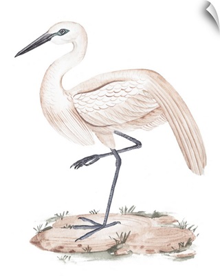 A White Heron III