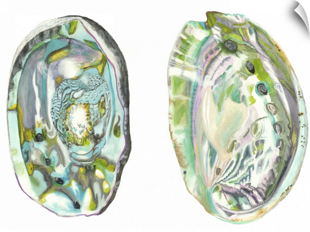 Contemporary artwork of two detailed abalone shell halves.