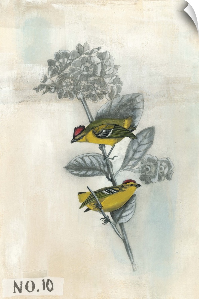 Illustration of two small birds on a branch.