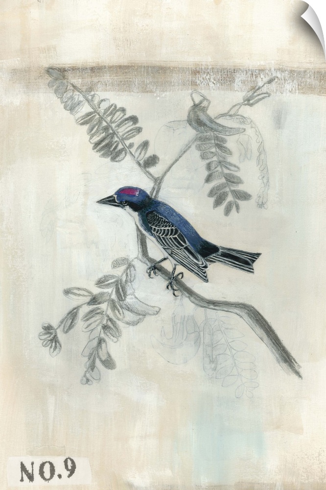 Illustration of a small bird on a branch.