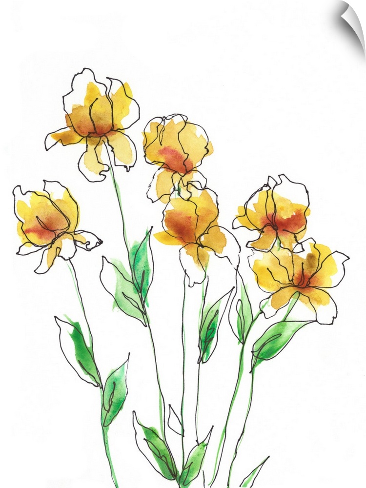 Amber Tulips II