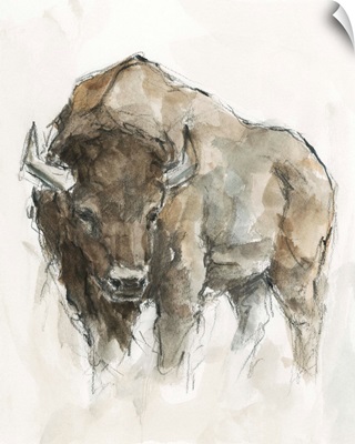 American Buffalo II