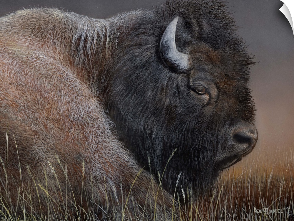 Contemporary painting of an American Bison.