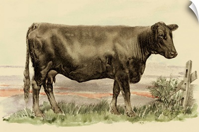 Antique Cow II
