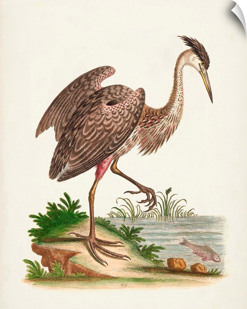 Antique Heron & Cranes III