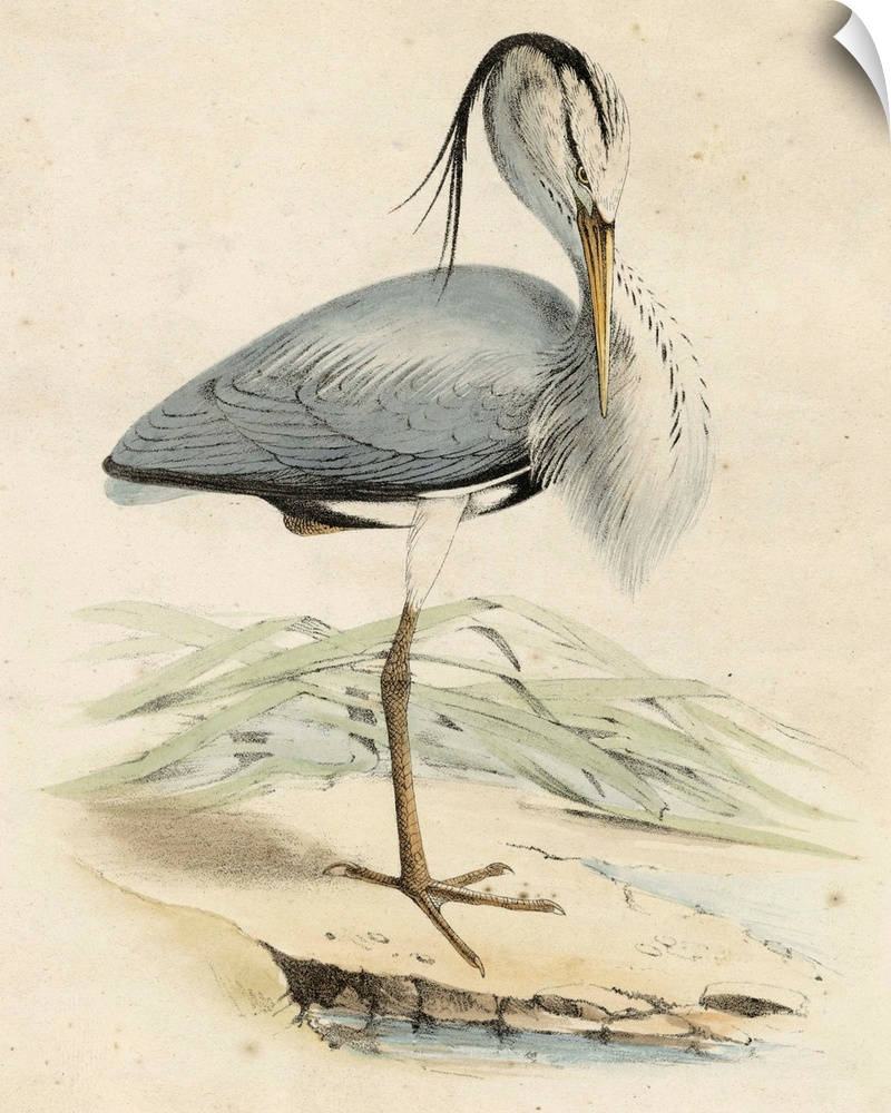 Antique Heron IV