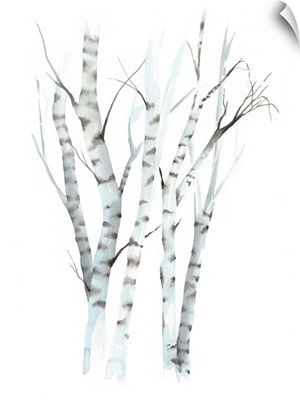 Aquarelle Birches II