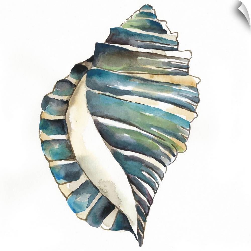 Detailed watercolor painting of a blue spiral seashell.