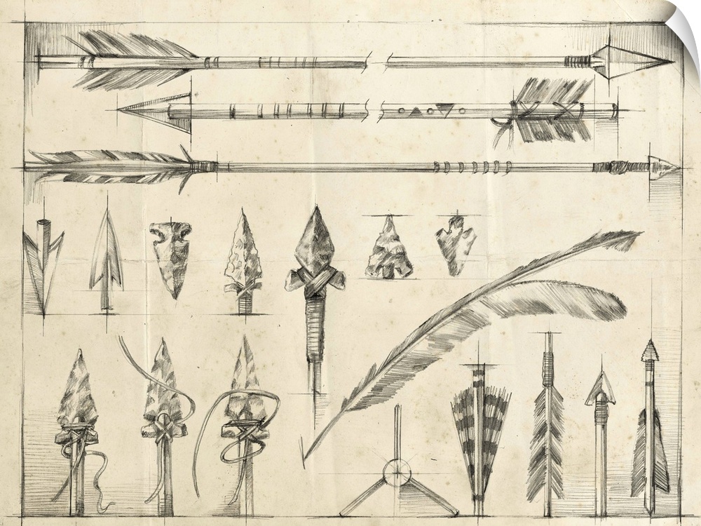 Detailed pencil illustration of several arrows and arrowheads.