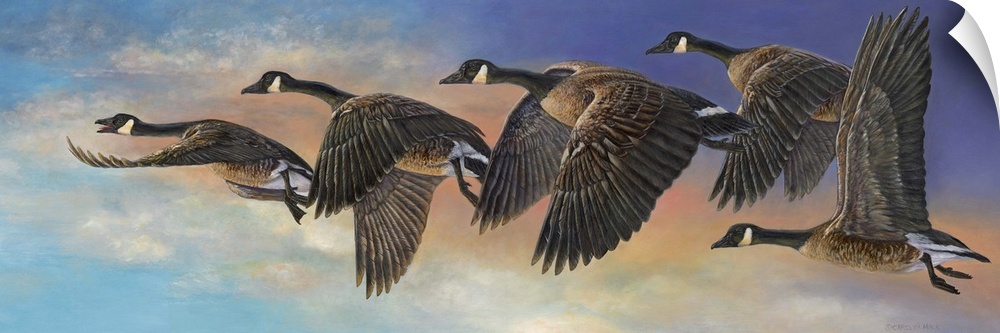 Contemporary painting of geese in mid flight.