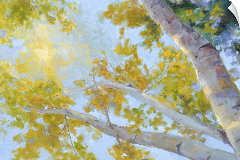 Contemporary artwork of the canopy of an aspen tree with sunlight filtering through the leaves.