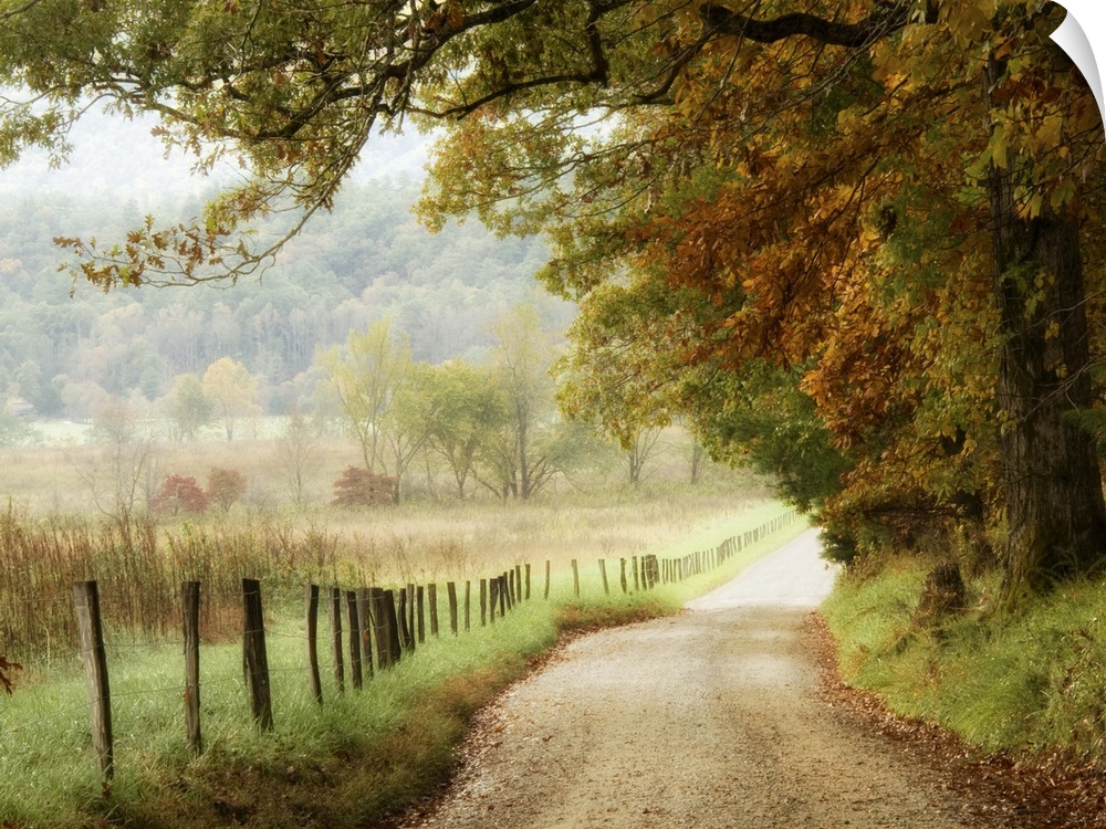 Autumn on a Country Road