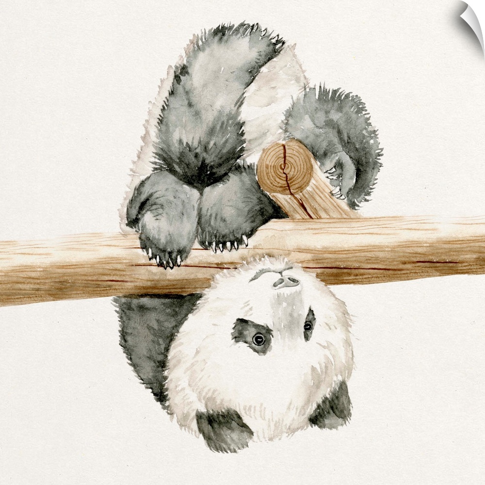 Watercolor artwork of a cute baby panda hanging from a branch.