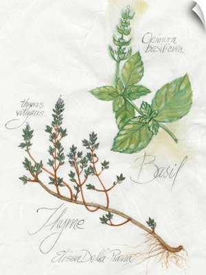 Basil And Thyme