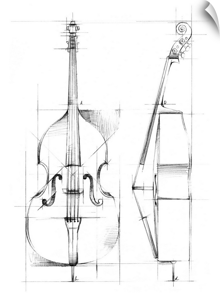 Bass Sketch