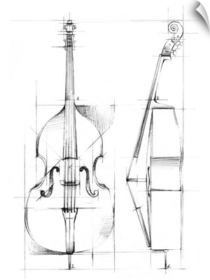 Bass Sketch