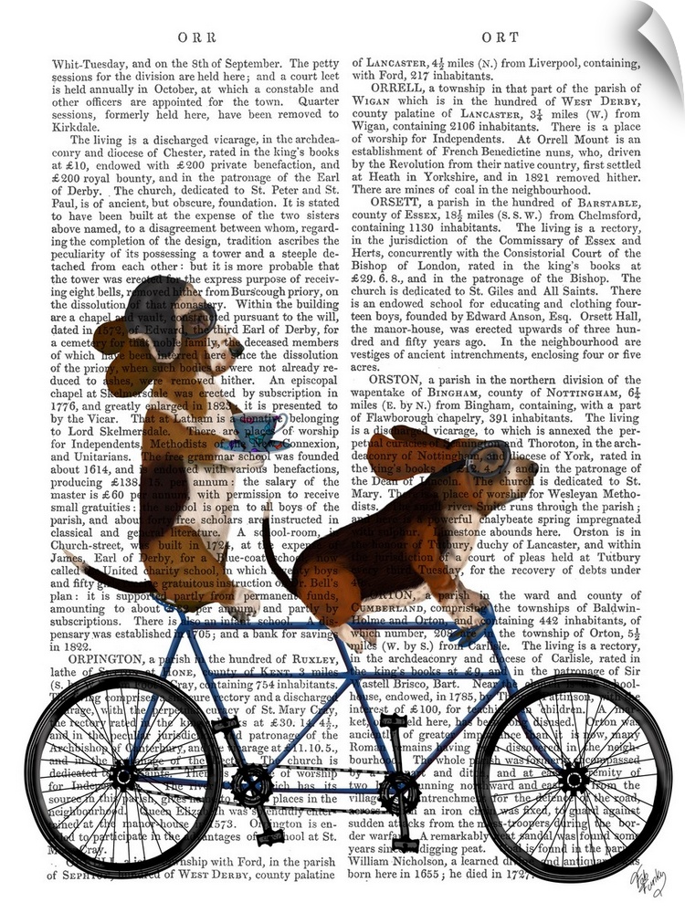 Decorative artwork of two Basset Hounds riding a tandem bicycle, painted on the page of a book.