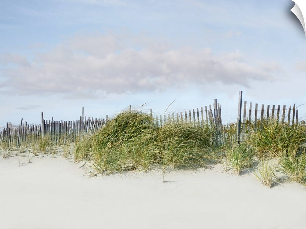 Photograph of a relaxing beachscape with the wind blowing.