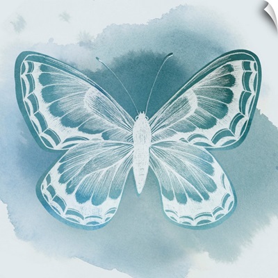 Beryl Butterfly II