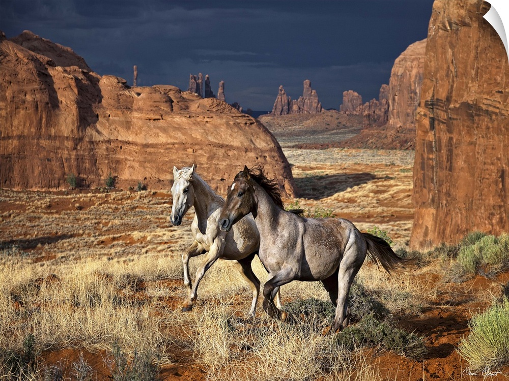 A photograph of wild horses running through a desert landscape.
