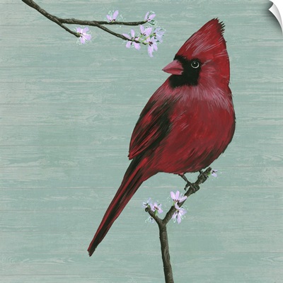 Bird, Blossoms II